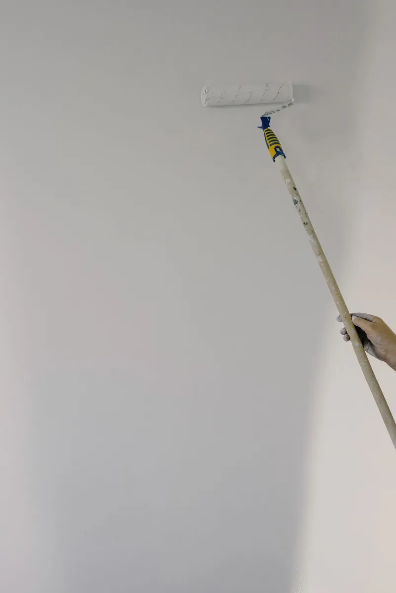 Fotografía ilustrativa de referencia